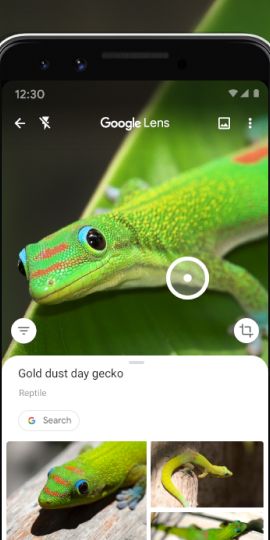 Google Lens