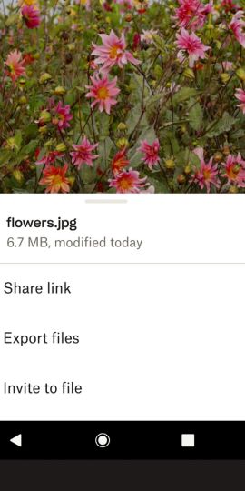 Dropbox: Secure Cloud Storage