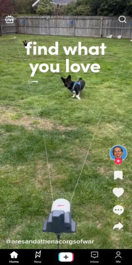 TikTok