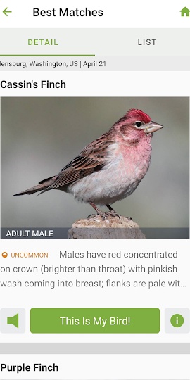Merlin Bird ID by Cornell Lab