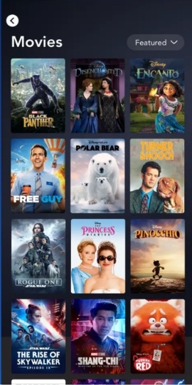 Disney+